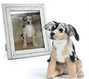 The Growing Popularity of Custom Pet Stuffed Animals from Photos