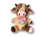 Custom Stuffed Animals