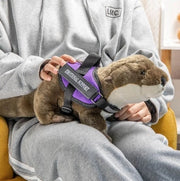 Emotional Support Stuffed Animals