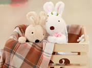 How to Sanitize Stuffed Animals? - Complete Guide