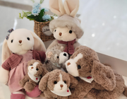 [Solved] Where to Buy Stuffed Animals? - 4 Methods