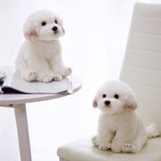 【Plush】Cute Simulated Maltese Dog Plush Toy