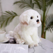 【Plush】Cute Simulated Maltese Dog Plush Toy