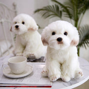 【Plush】Cute Simulated Maltese Dog Plush Toy