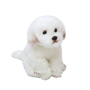 【Plush】Cute Simulated Maltese Dog Plush Toy