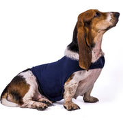 Comfort Dog Anxiety Relief Coats