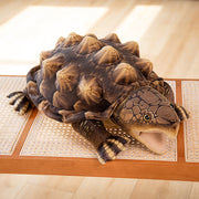 【Plush】Fancy Simulated Turtle Plush Toy