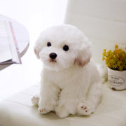 【Plush】Cute Simulated Maltese Dog Plush Toy