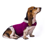 Comfort Dog Anxiety Relief Coats