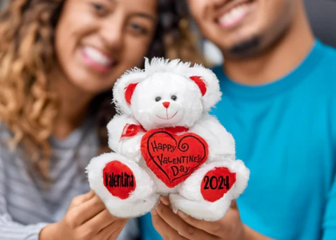 custom stuffed animal foranniversary
