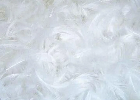down feathers for stuffed animal