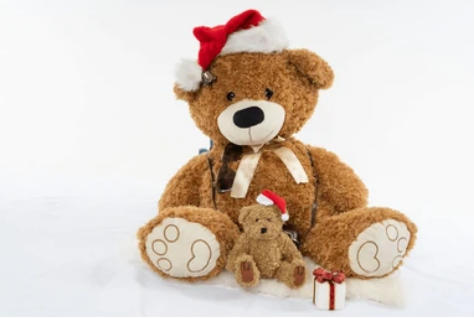 Christmas Custom Teddy Bears