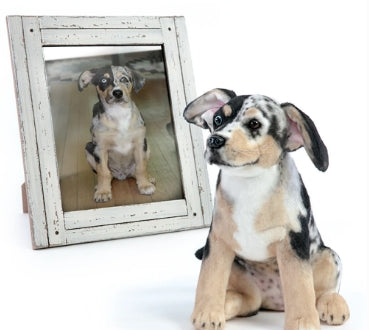 Custom Pet Stuffed Animals from Photos