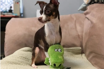 Custom Plush Toys Designed for Pets