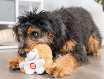 Plush Toys Designed for Pets