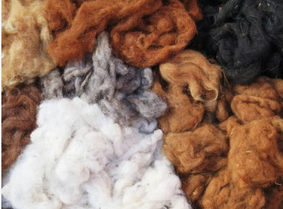 Wool and Alpaca Fleece