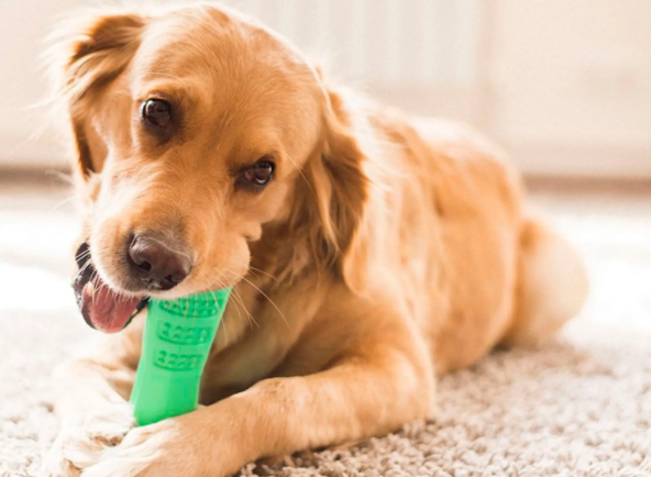 types of custom dog toys