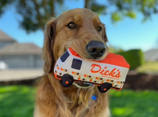 what are custom dog toys