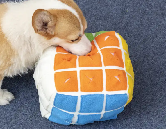 best pet toys for dog