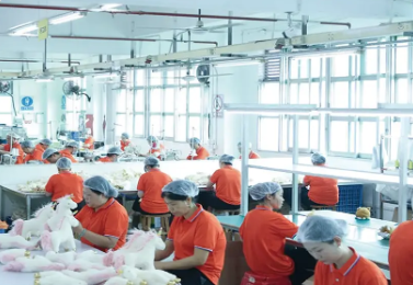 implementer custom plush toys wholesale production line